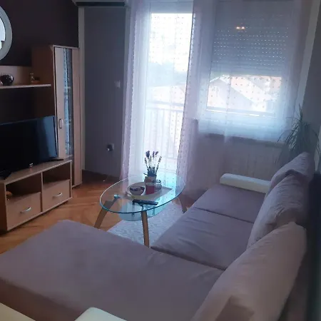 Apartman Lovely L Bn Centar -rent A Car Automatic Биелина