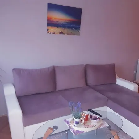 Lovely L Bn Centar -rent A Car Automatic Apartman