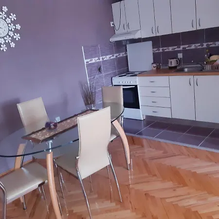 Lovely L Bn Centar -rent A Car Automatic Apartman *