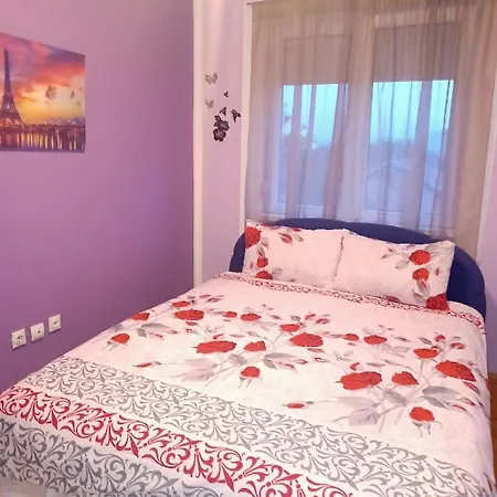 Lovely L Bn Centar -rent A Car Automatic Apartman