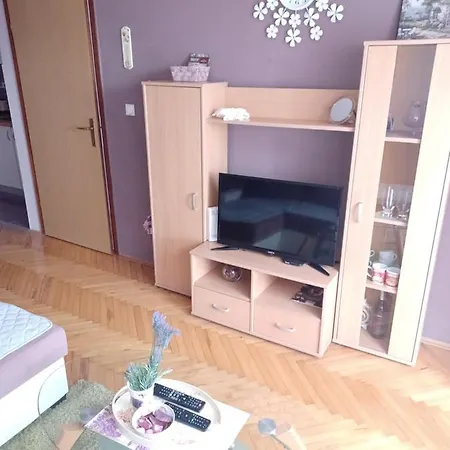 Lejlighed Lovely L Bn Centar -rent A Car Automatic Bijeljina