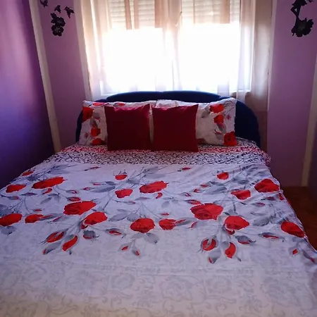 Lovely L Bn Centar -rent A Car Automatic Apartman *