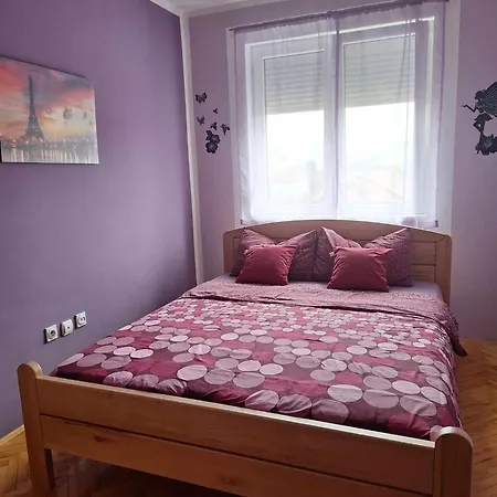 Lovely L Bn Centar -rent A Car Automatic Apartman