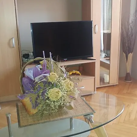 Apartman Lovely L Bn Centar -rent A Car Automatic *